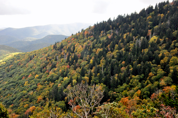 fall colors on The Blue Ridge Parkway